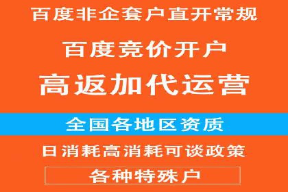 案例分析：SEM广告助力电商行业突破
